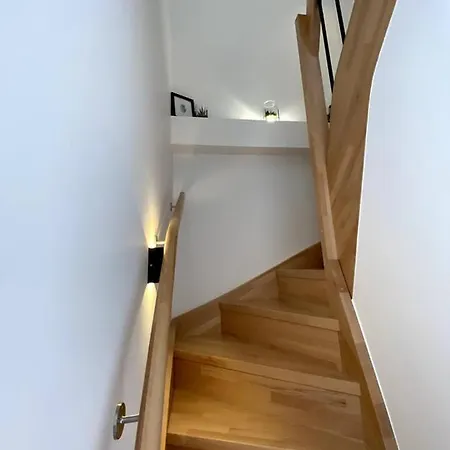 Loft Moderne Avec Terrasse En Hyper Centre-ville 公寓 圣让-德蒙