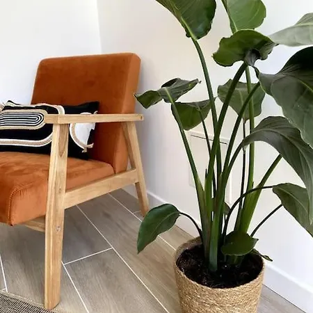 公寓 Loft Moderne Avec Terrasse En Hyper Centre-ville